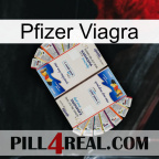 Pfizer Viagra kamagra1